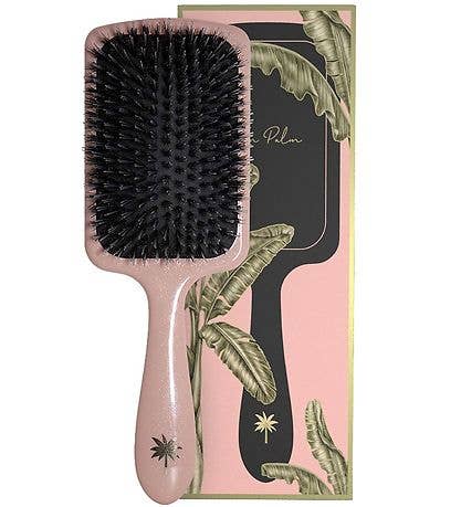 FAN PALM - Paddle Brush Double Bloom