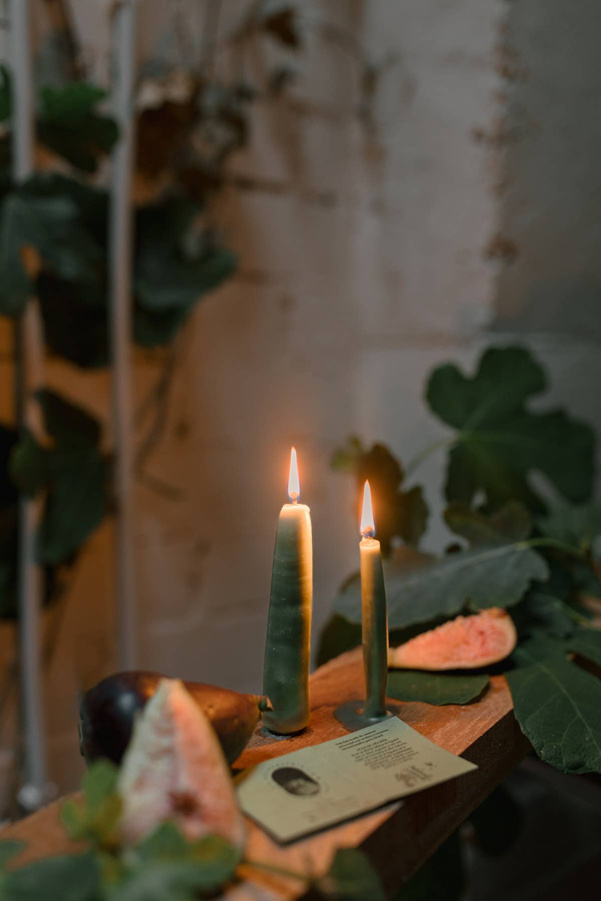 Ambiance avec la bougie rituelle Figuier vert foncé, Antevasin's Store chez George Genève