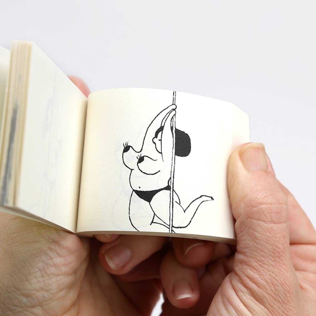 FLIPBOOK - Spicing Things Up par Katja Ronkanen