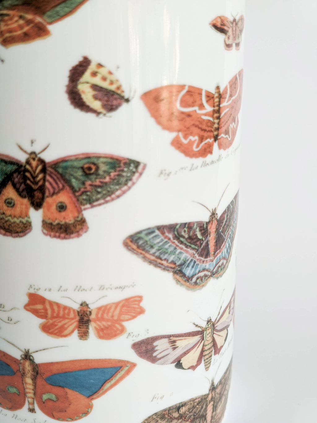 Vase cylindrique Farfalle en faïence, planches anciennes de papillons – Grand Tour, Vito Nesta