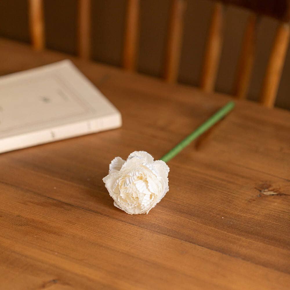 FLOWRETTE - Renoncule Blanche