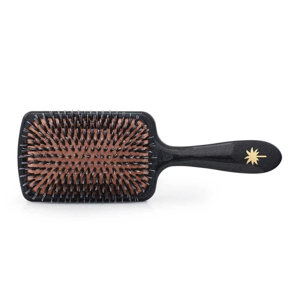 FAN PALM - Paddle Brush Big Star