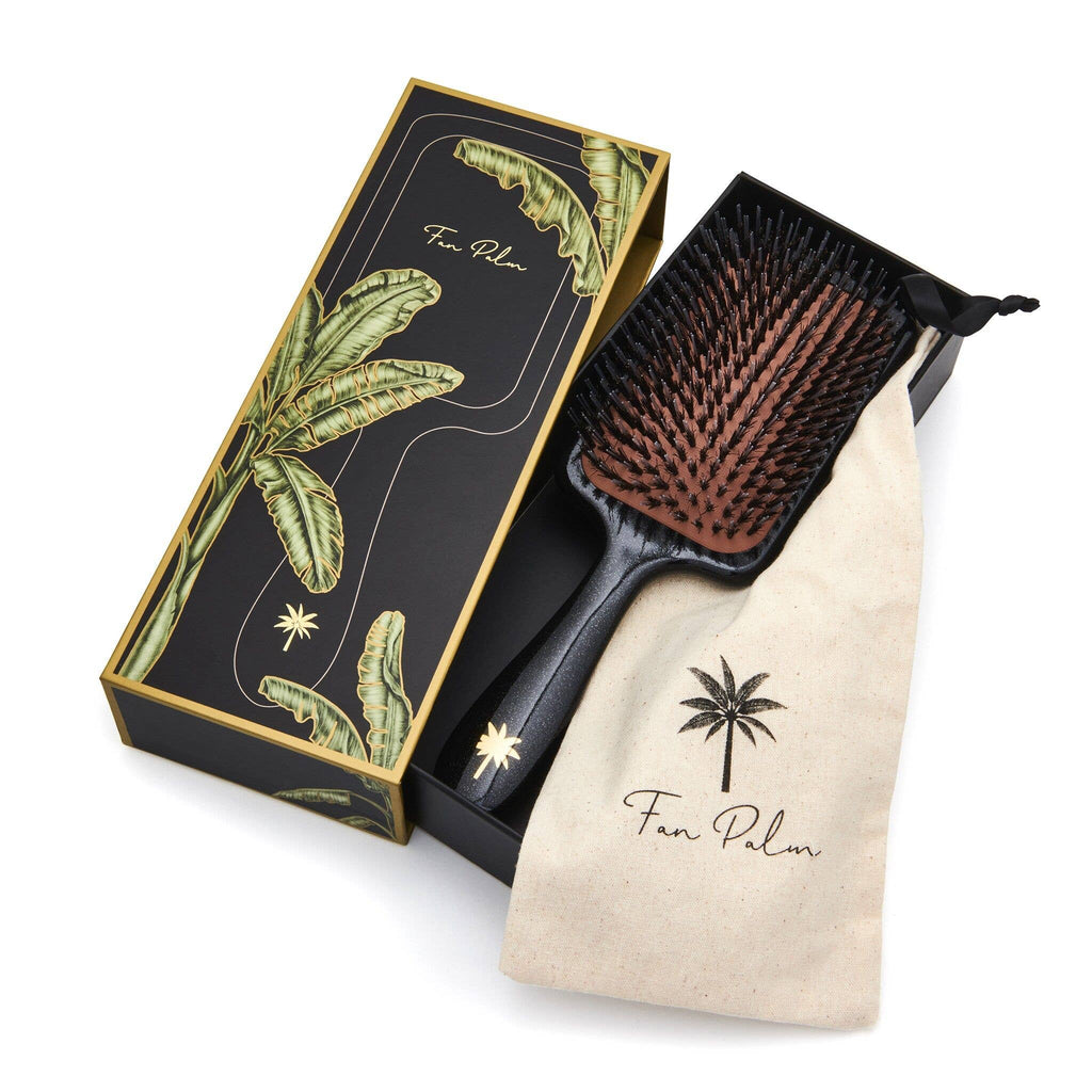 FAN PALM - Paddle Brush Big Star