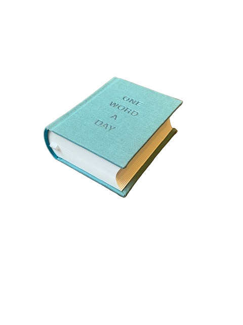 ONE WORD A DAY - Mini Carnet Vert